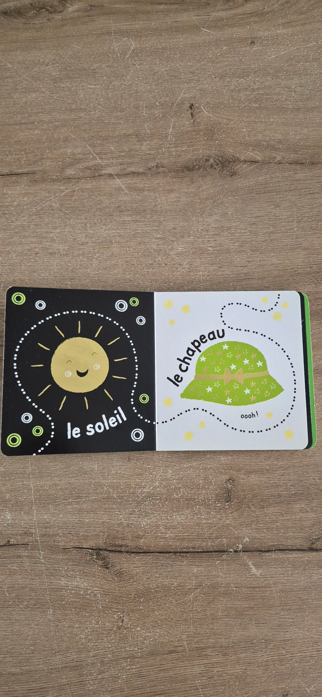 Un livre qui brille : Abeille  – photo 4